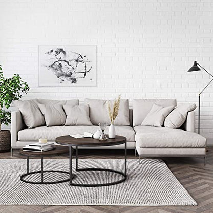 Round Nesting Coffee Table Set with Metal Frame