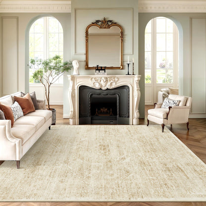 Washable Area Rug with Non-Slip Backing