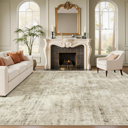 Washable Area Rug with Non-Slip Backing