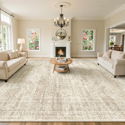 Washable Area Rug with Non-Slip Backing