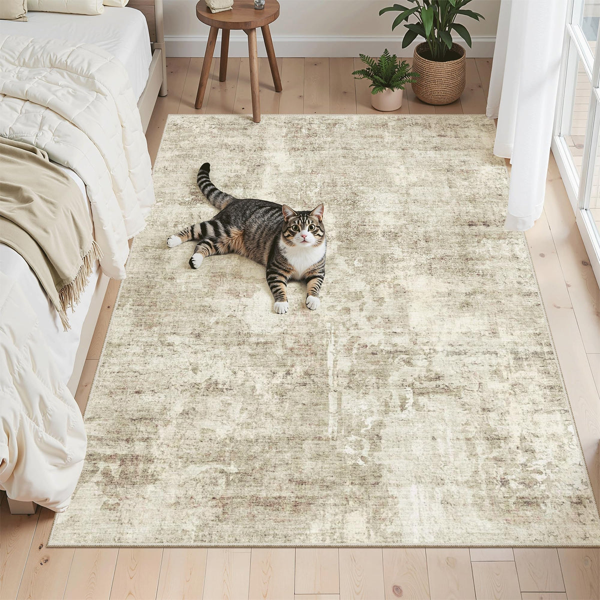 Washable Area Rug with Non-Slip Backing