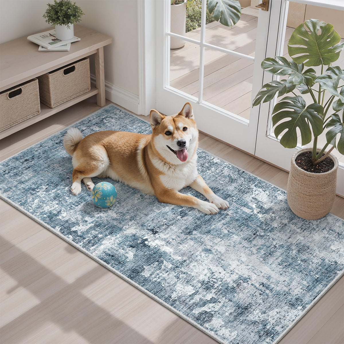 Washable Area Rug with Non-Slip Backing