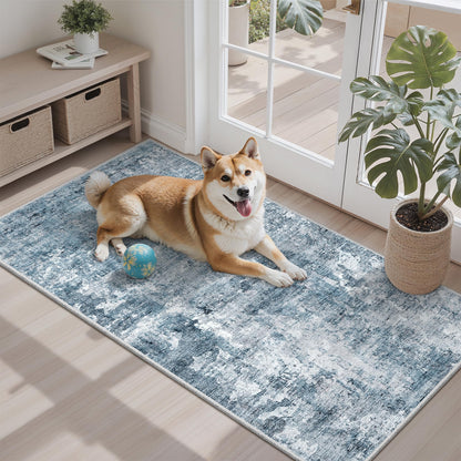 Washable Area Rug with Non-Slip Backing