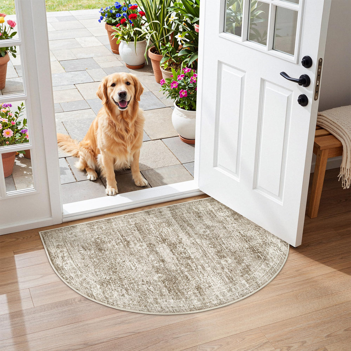 Washable Area Rug with Non-Slip Backing